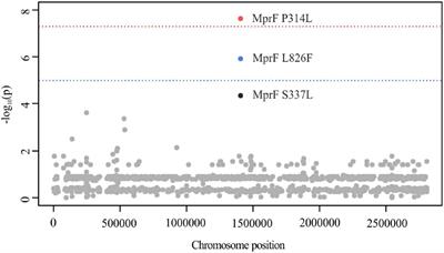 Genome-Wide Association Studies for the Detection of Genetic Variants Associated With Daptomycin and Ceftaroline Resistance in Staphylococcus aureus